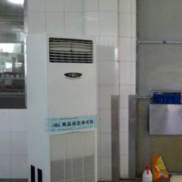 巴中食品智能空气杀菌器